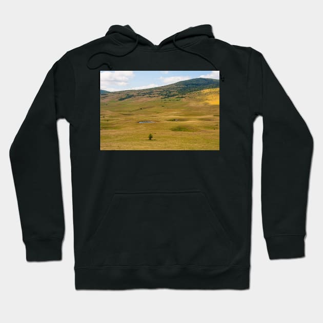 Bravsko Polje Landscape in Bosnia Hoodie by jojobob